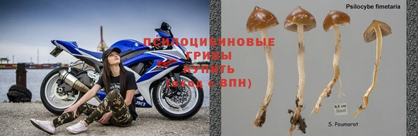 каннабис Балахна