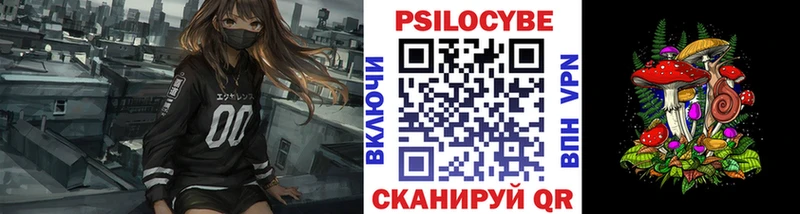 цена   Беломорск  Псилоцибиновые грибы прущие грибы 